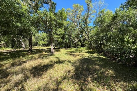 Terreno en venta en Arcadia, Florida № 1580263 - foto 5