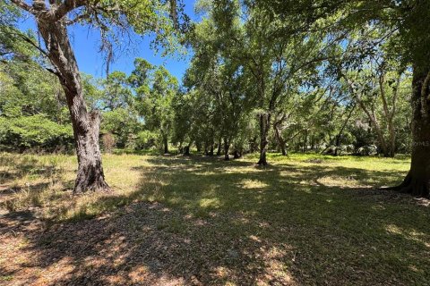 Terreno en venta en Arcadia, Florida № 1580263 - foto 3