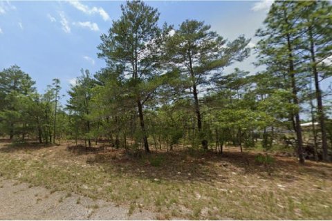 Land in Dunnellon, Florida № 2162750