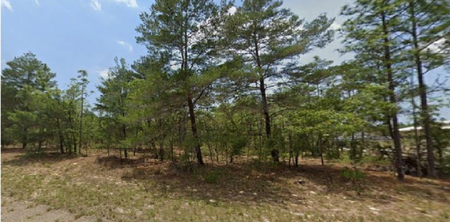 Land in Dunnellon, Florida № 2162750
