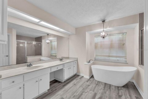 Villa ou maison à louer à Valrico, Floride: 4 chambres, 242.29 m2 № 2387602 - photo 21