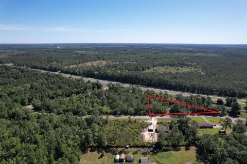 Land in Hawthorne, Florida № 1131566 - photo 1