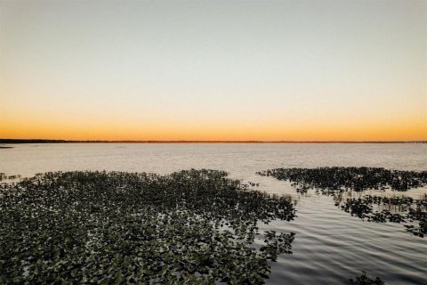 Land in Hawthorne, Florida № 1131566 - photo 4