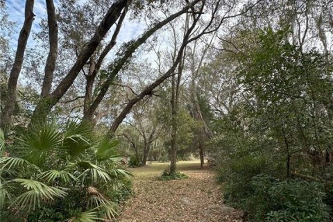 Villa ou maison à vendre à Palatka, Floride: 2 chambres, 151.62 m2 № 1772023 - photo 28