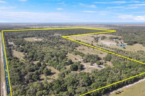 Land in Okeechobee, Florida № 1863707 - photo 3