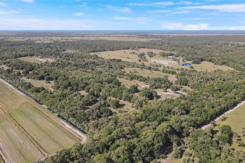 Land in Okeechobee, Florida № 1863707 - photo 6