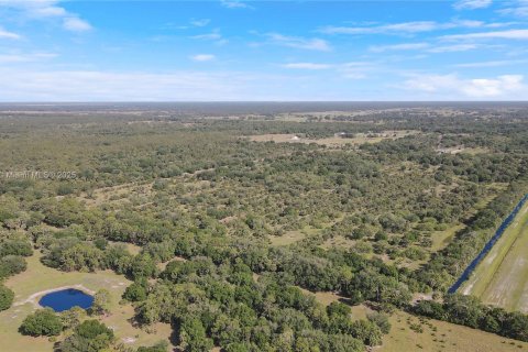 Land in Okeechobee, Florida № 1863707 - photo 18