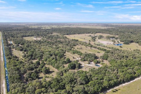 Land in Okeechobee, Florida № 1863707 - photo 4