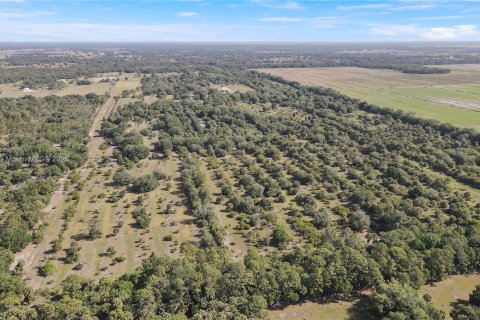 Land in Okeechobee, Florida № 1863707 - photo 24