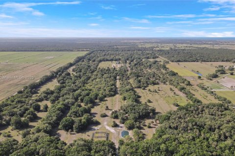 Land in Okeechobee, Florida № 1863707 - photo 2