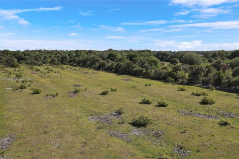 Land in Okeechobee, Florida № 1863707 - photo 26