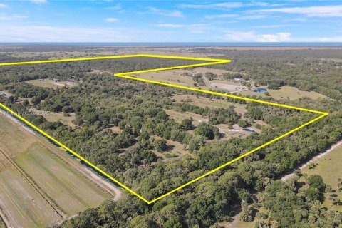 Land in Okeechobee, Florida № 1863707 - photo 5