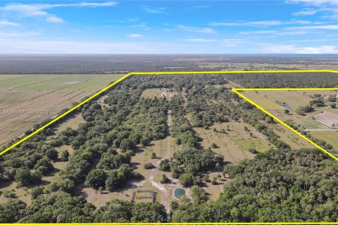 Land in Okeechobee, Florida № 1863707 - photo 1