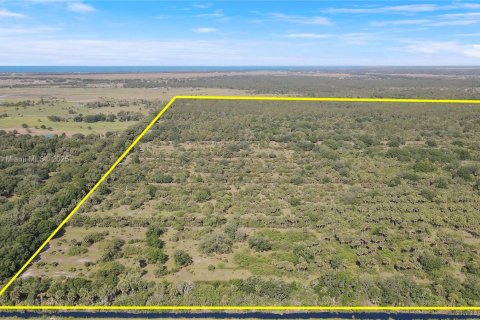 Land in Okeechobee, Florida № 1863707 - photo 13