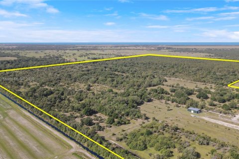Land in Okeechobee, Florida № 1863707 - photo 11