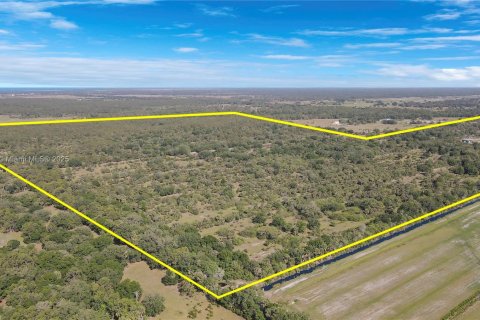 Land in Okeechobee, Florida № 1863707 - photo 15