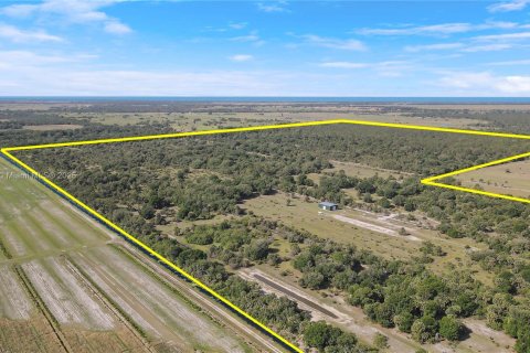 Land in Okeechobee, Florida № 1863707 - photo 9