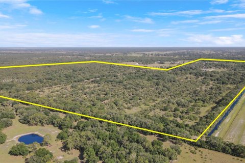 Land in Okeechobee, Florida № 1863707 - photo 17