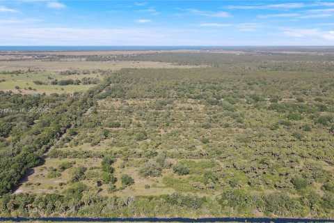 Land in Okeechobee, Florida № 1863707 - photo 14