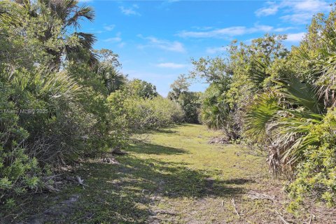 Land in Okeechobee, Florida № 1863707 - photo 29