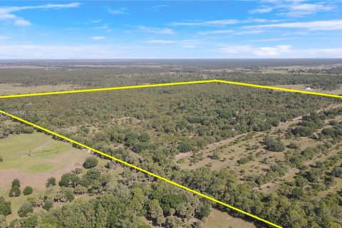 Land in Okeechobee, Florida № 1863707 - photo 21