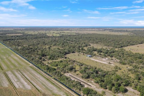 Land in Okeechobee, Florida № 1863707 - photo 10