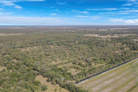 Land in Okeechobee, Florida № 1863707 - photo 16