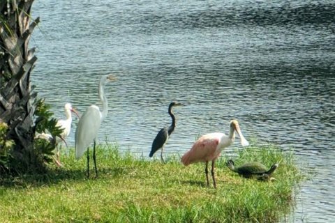 Townhouse in Sanford, Florida 3 bedrooms, 165.46 sq.m. № 1900594 - photo 9