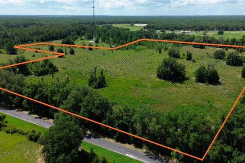 Terrain à vendre à Ocala, Floride № 2201475 - photo 3