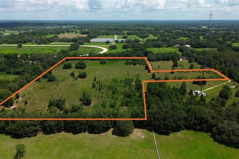 Terrain à vendre à Ocala, Floride № 2201475 - photo 2