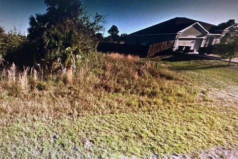 Land in Palm Bay, Florida № 1295312 - photo 6