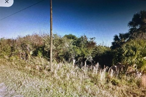 Land in Palm Bay, Florida № 1295312 - photo 5