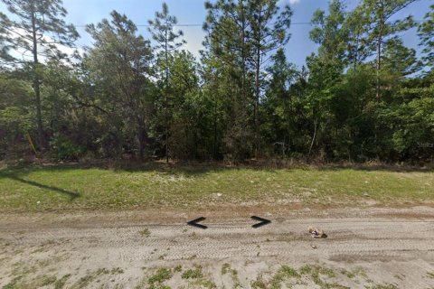 Land in Ocala, Florida № 2162781