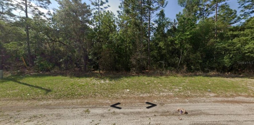 Land in Ocala, Florida № 2162781