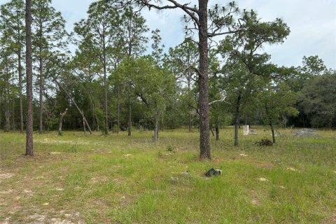 House in Inverness, Florida 2 bedrooms, 170.57 sq.m. № 1795926 - photo 3