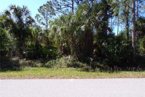 Land in Punta Gorda, Florida № 2228895 - photo 10