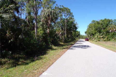 Land in Punta Gorda, Florida № 2228895 - photo 11