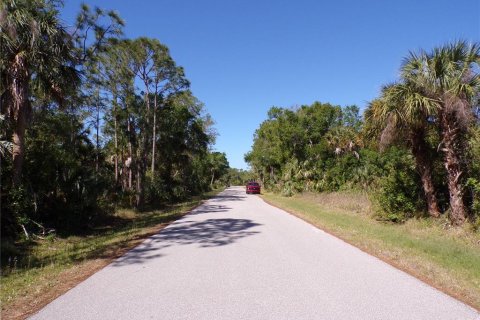 Land in Punta Gorda, Florida № 2228895 - photo 12