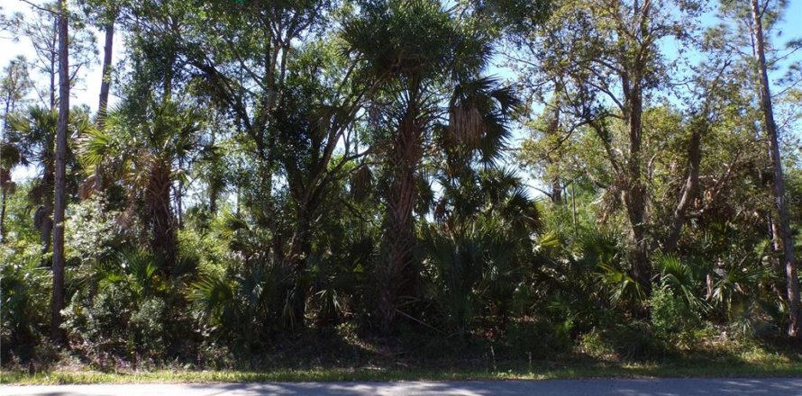 Land in Punta Gorda, Florida № 2228895
