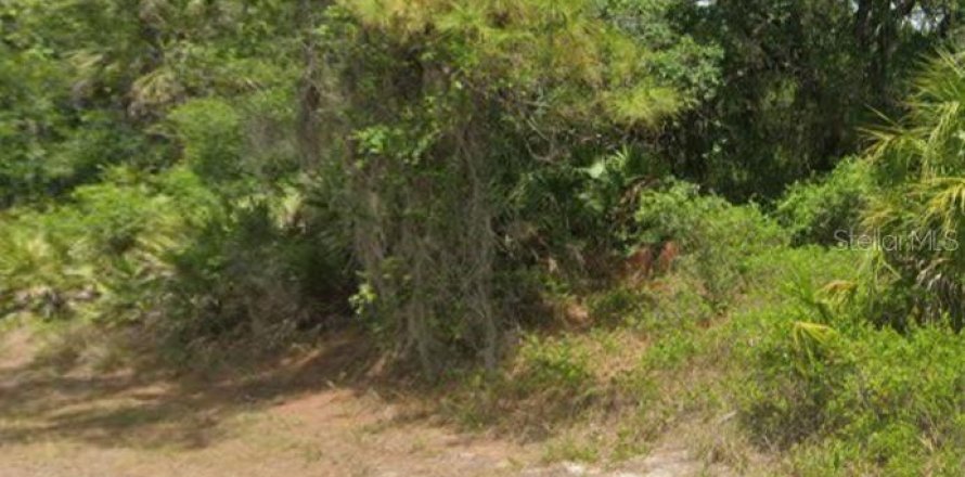 Terreno en Port Charlotte, Florida № 2232681