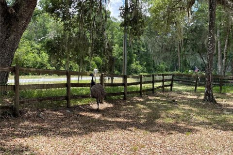 House in Ocala, Florida 1 bedroom, 47.57 sq.m. № 1796493 - photo 18