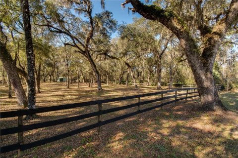 House in Ocala, Florida 1 bedroom, 47.57 sq.m. № 1796493 - photo 16