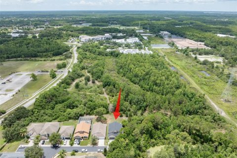 Casa en alquiler en Trinity, Florida, 4 dormitorios, 225.29 m2 № 1894785 - foto 5