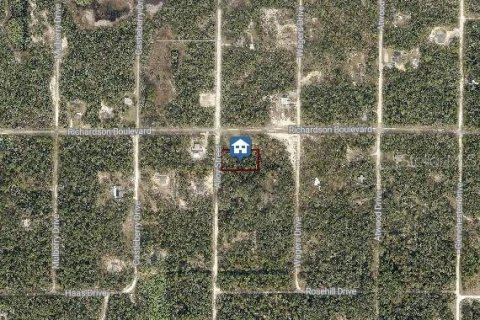 Terrain à Webster, Floride № 2235046