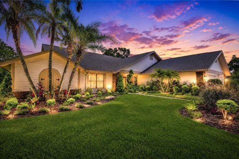 Villa ou maison à Odessa, Floride 5 chambres, 301.37 m2 № 2203770