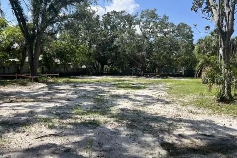 Land in Sarasota, Florida № 1883678 - photo 1