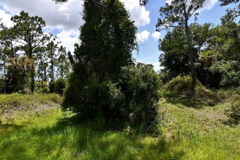 Land in North Port, Florida № 2218366
