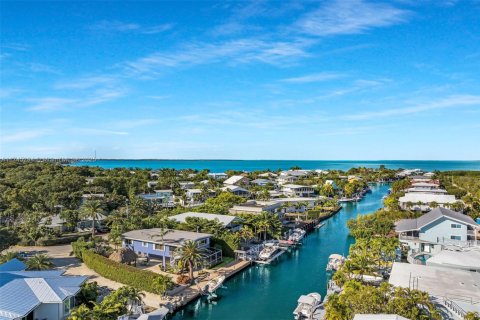 House in Islamorada, Village of Islands, Florida 2 bedrooms, 114.27 sq.m. № 1712888 - photo 4