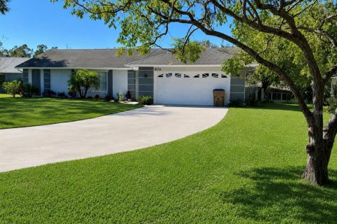 Villa ou maison à Kissimmee, Floride 3 chambres, 154.4 m2 № 2228008