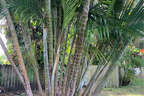 Casa en alquiler en Dania Beach, Florida, 3 dormitorios, 103.86 m2 № 1946257 - foto 1